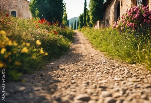 street in the old town 