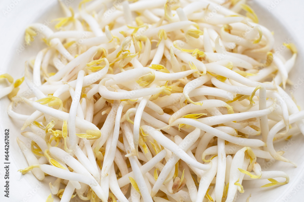 Bean sprouts in white plate