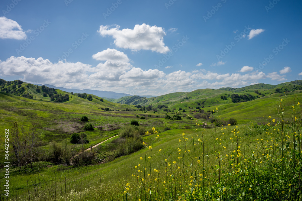 beautiful green hills and sky in Chino Hills State Park, California with wildflowers in foreground