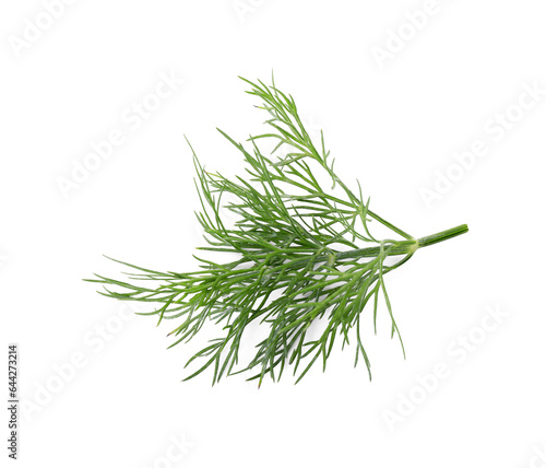 Sprig of fresh dill isolated on white