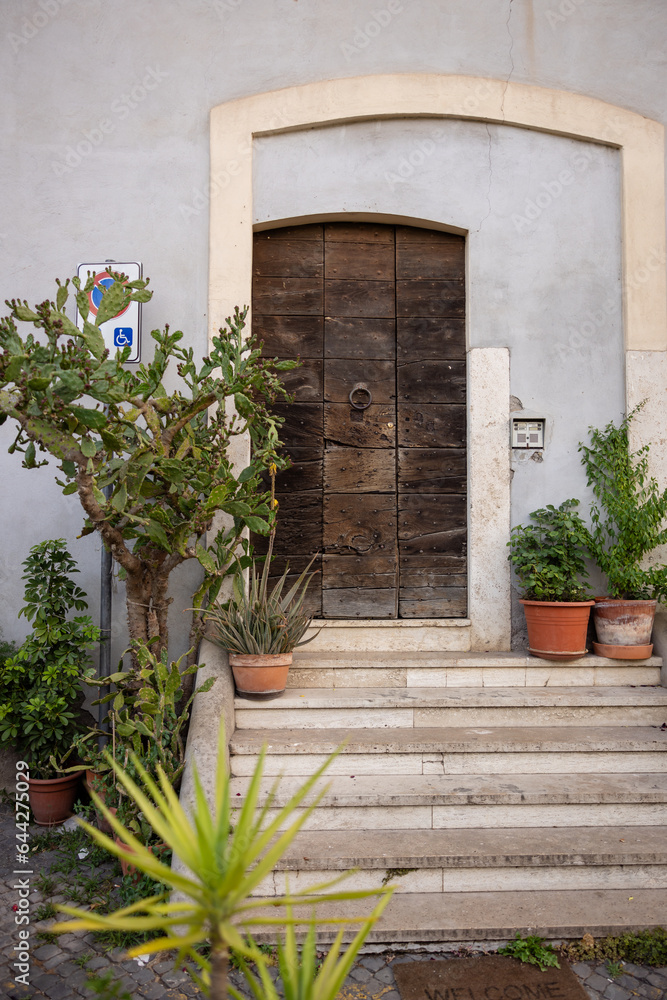 Naklejka premium An old European dark wood door entry way with steps, plants and a classic old blue wall