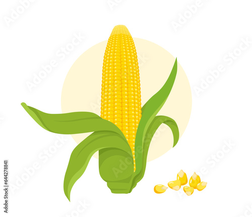 Cereal crops corn concept. Natural and organic product. Farming and agriculture. Healthy eating and vegetable with vitamins. Cartoon flat vector illustration isolated on white background