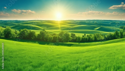Green field with grass against blue sky with sun, beautiful panoramic natural landscape, spring summer background