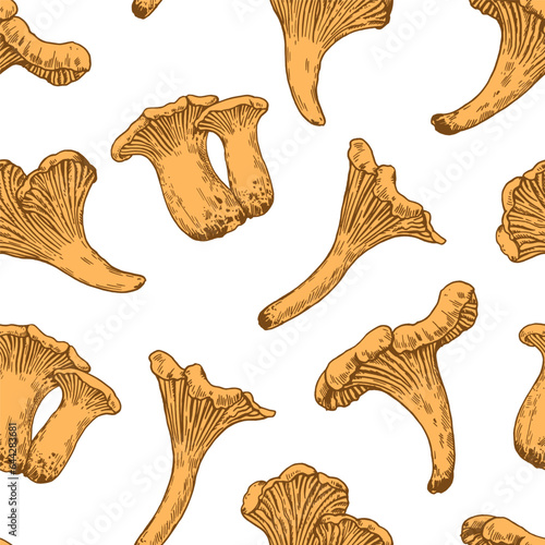 Seamless pattern with chanterelle mushrooms in retro engraving style. Vintage hand-drawn print for design and textile.