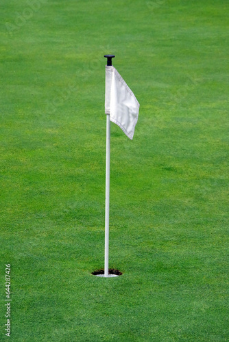 Hole marker flag on a golf putting green