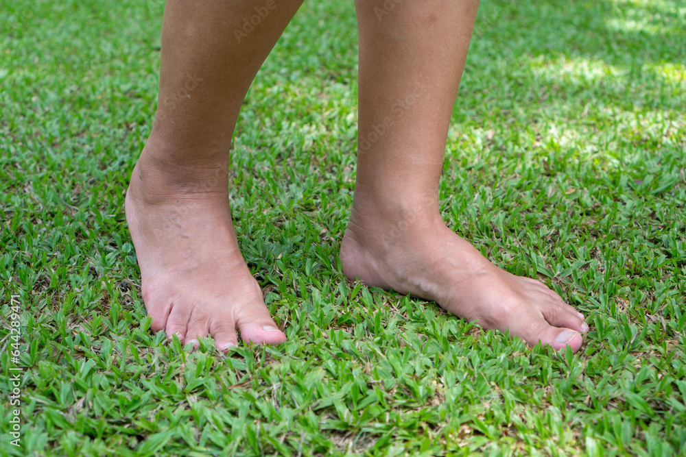 Walking barefoot on grass helps to stimulate the functioning of organs.. Walking barefoot on grass helps to stimulate the functioning of organs..