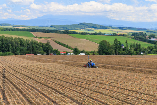 夏の丘に広がる玉ねぎ畑とトラクターで作業する農夫 photo