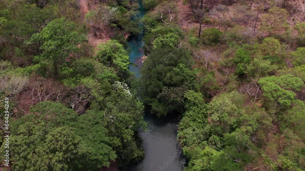 Discover the tranquil beauty of a pristine blue river Discover the tranquil beauty of a pristine blue river