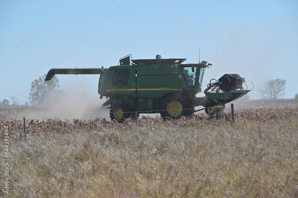 Fototapeta premium Australian farmer in Combine harvester harvesting a field in Queensland Australia