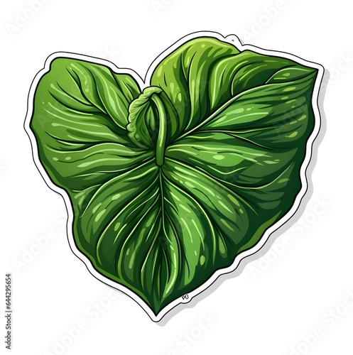  Tropical green plant Colocasia esculenta or Elephant ear or Taro leaf bunch illustration