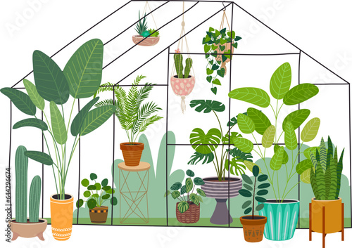 Greenhouse with green plants. Urban jungle. Gardening illustration