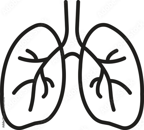 human lungs icon, respiratory system healthy lungs anatomy flat medical organ icon isolated on white background. line medical organ icon.