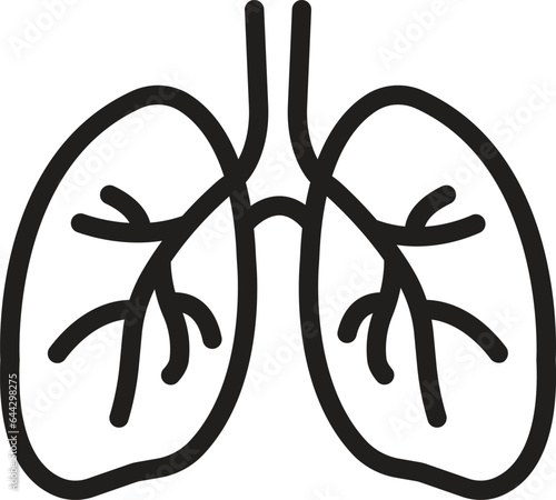 human lungs icon, respiratory system healthy lungs anatomy flat medical organ icon isolated on white background. line medical organ icon.