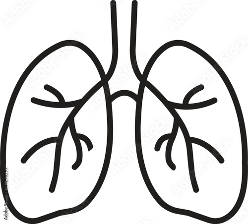 human lungs icon, respiratory system healthy lungs anatomy flat medical organ icon isolated on white background. line medical organ icon.