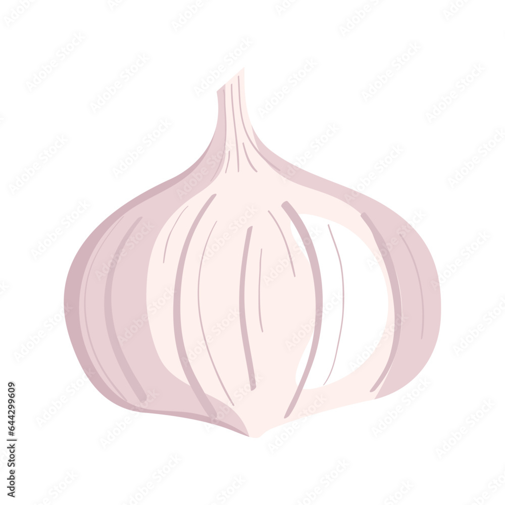 garlic fresh vegetable icon
