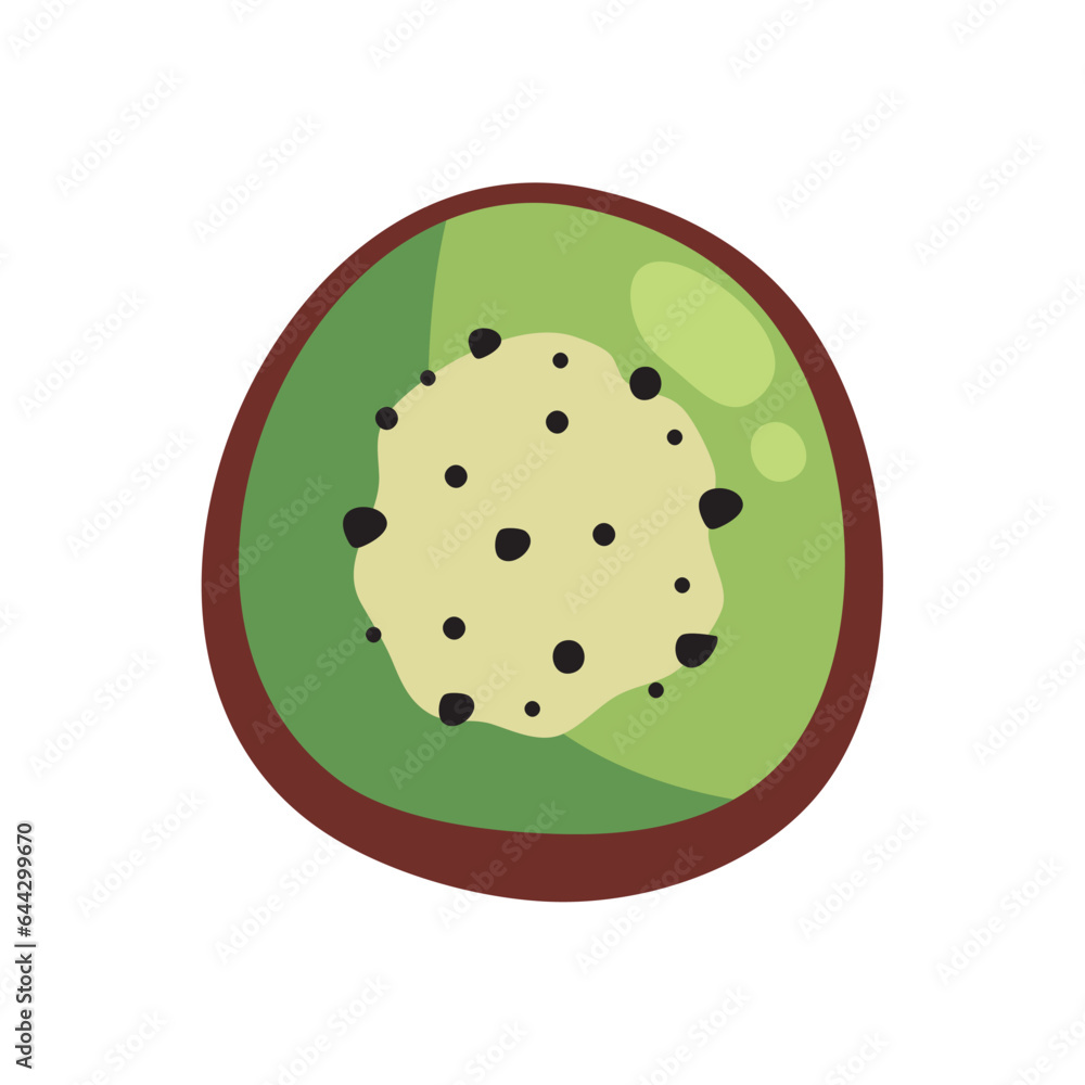 kiwi fresh fruit icon kiwi fresh fruit icon