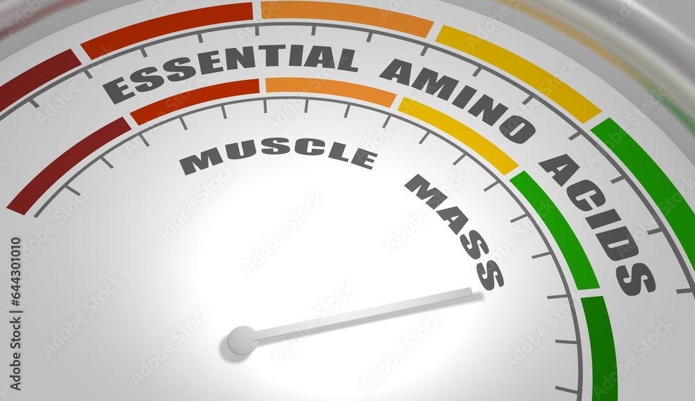 Abstract measuring device. Influence of essential amino acids on muscle mass building. Scales of cause and effect. 3D render Abstract measuring device. Influence of essential amino acids on muscle mass building. Scales of cause and effect. 3D render