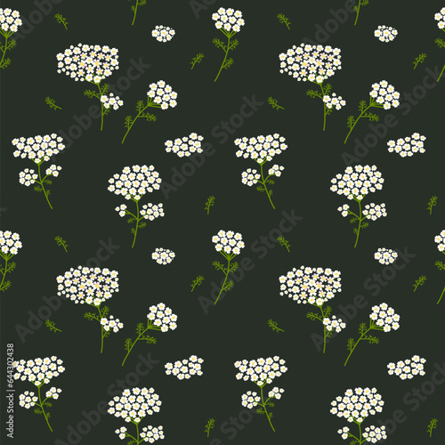 Vector seamless floral pattern. Wild flowers yarrow. Flowers on a dark background.