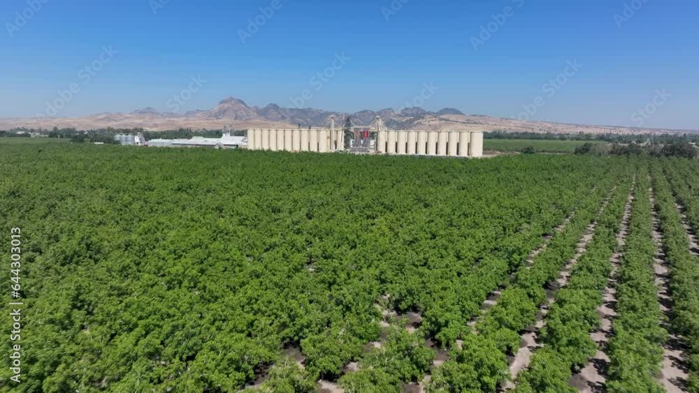 Aerial Sutter California Over Rice Grain Elevator Walnut Orchard 1 aerial-sutter-california-over-rice-grain-elevator-walnut-orchard-1