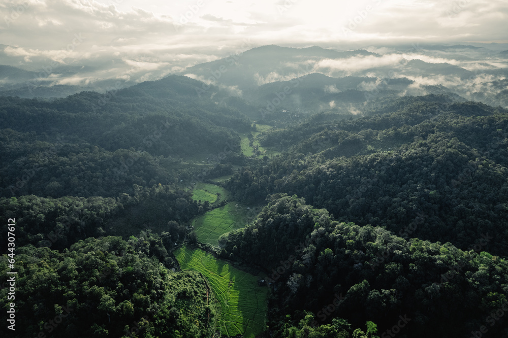 Fototapeta premium Rice terraces in the forest at a rural village