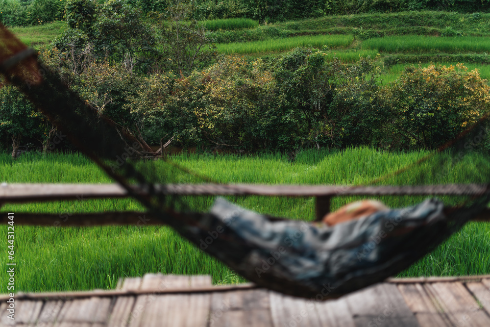 Fototapeta premium Cradle at the rice field view hut