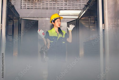 Female technician engineer inspects area accidental leak large amount ammonia gas product freezer industrial factory freezing processing business without wearing protective mask causes health hazards.