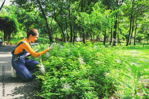 Beautiful young asian woman natural botanist student plant researchers sit and study plants  using smartphones to take impressive photos of the beautiful blooming flowers and herbs in the garden.