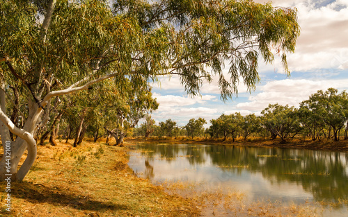 A creek passing through typical Australian gum trees in Camooweal National Park in Queensland, Australia.