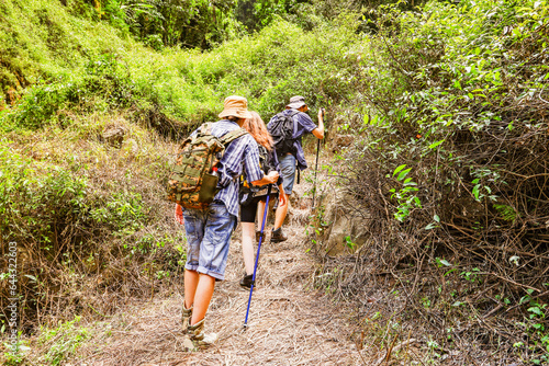 Back view group male and female caucasian tourists line up travel through the tropical forests Thailand using trekking poles to climb steep nature trail in search beautiful waterfall destination.