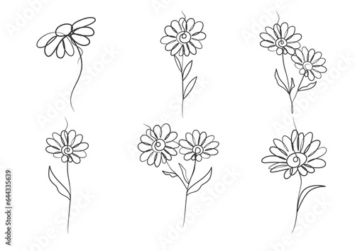 Continuous one line art drawing of beauty daisy flower