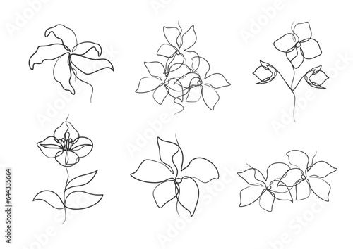 Continuous one line art drawing of beauty jasmine flower