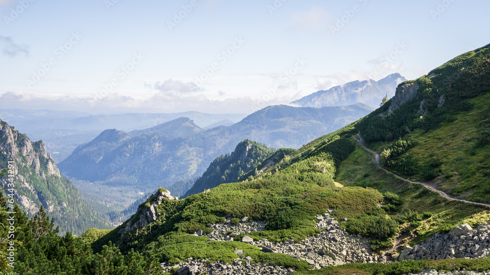 View on beautiful green alpine landscape with trail during sunny day, Poland, Europe