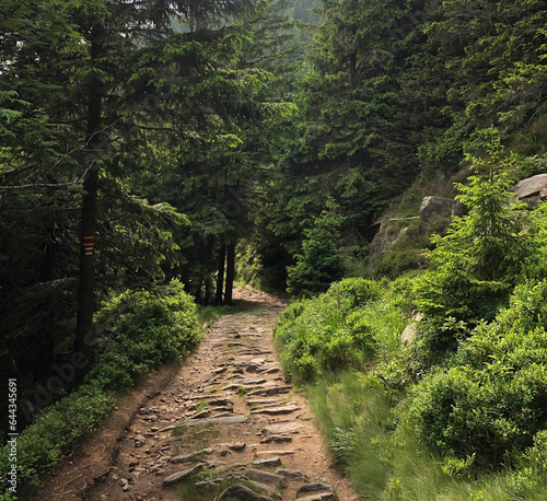 Hiking trail country road