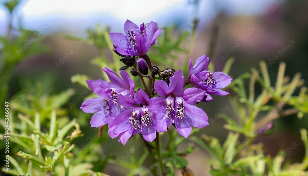 Natural purple flower blurred background ai generative Natural purple flower blurred background ai generative