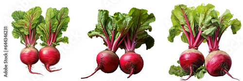 Red beet from garden transparent background photo