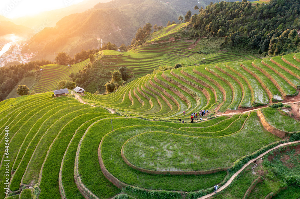 Mu Cang Chai rice terrace in beautiful sun light. Asia nature agriculture background. Vietnam landscape