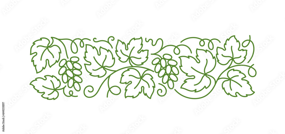 Grape vine floral ornament. Grape branches and leaves. Editable outline stroke. Vector line.
