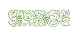 Grape vine floral ornament. Grape branches and leaves. Editable outline stroke. Vector line.