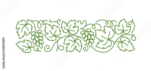 Grape vine floral ornament. Grape branches and leaves. Editable outline stroke. Vector line.