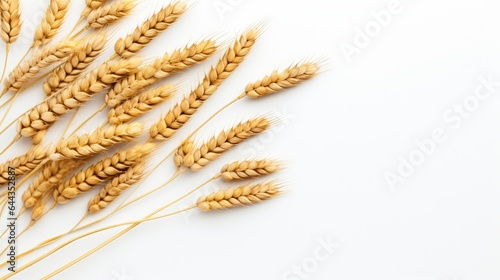 Wheat ears isolated on white background. Top view. Flat lay. AI generated Image