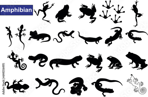 Canvastavla Amphibian vector illustration, black silhouettes on white background