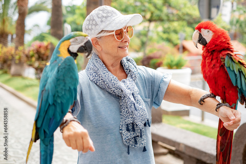 Portrait of mature elderly woman in hat and sunglasses holding on her arms two domestic ara parrots in the park photo