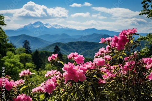 Panoramic view Smoky Mountains NC w/ blooming flowers, green hills & mountains. Near Asheville. USA. Generative AI