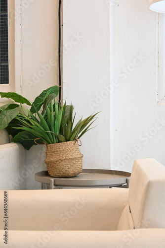 Decorate the room with woven pots and green trees Contrasting with the white room color.