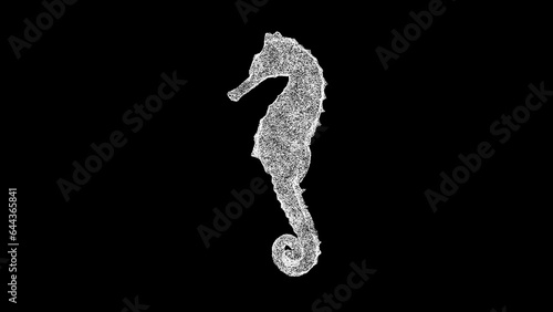 3D Seahorse on black background. Marine animals concept. Underwater world. Business advertising backdrop. For title, text, presentation. 3d animation.