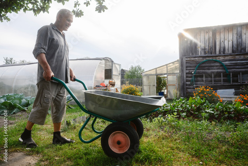 Senior man pushing wheelbarrow in garden photo
