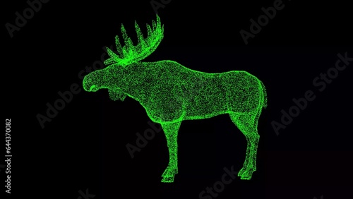3D Elk on black background. Wild animals concept. Nature reserve and zoo. Business advertising backdrop. For title  text  presentation. 3d animation.
