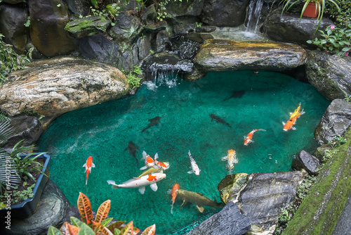 Japanese fish pond