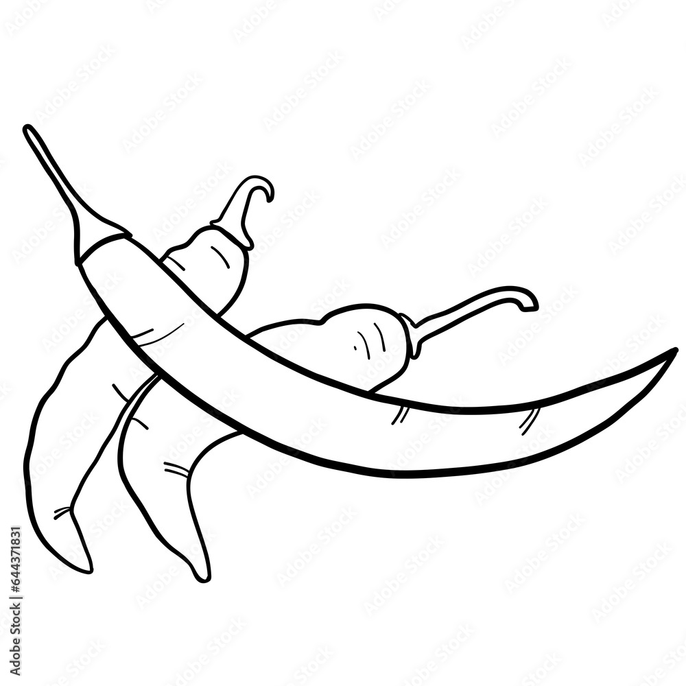 Obraz premium fresh chili drawing line