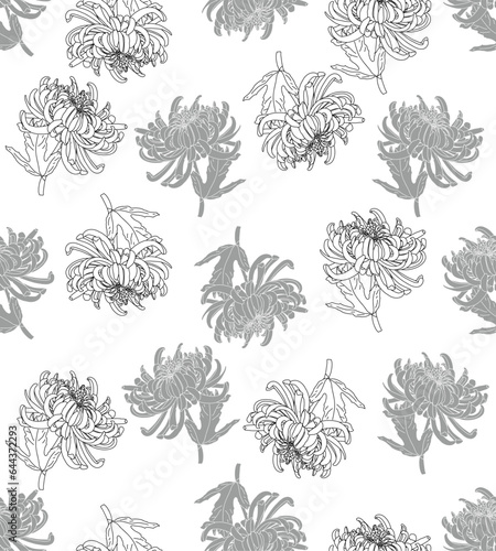 Fototapeta Naklejka Na Ścianę i Meble -  flower chrysanthemum vector seamless pattern